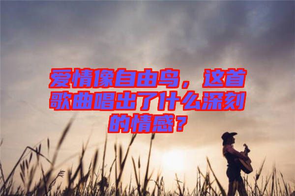 愛(ài)情像自由鳥(niǎo)，這首歌曲唱出了什么深刻的情感？