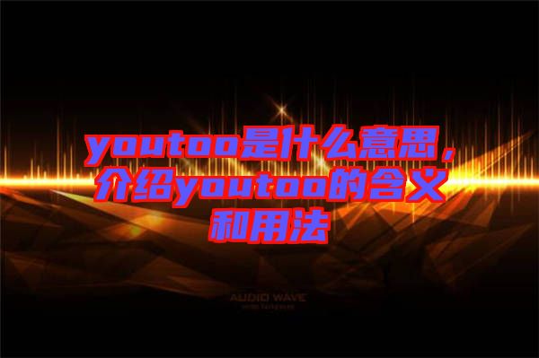 youtoo是什么意思，介紹youtoo的含義和用法