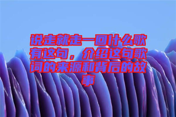 說走就走一回什么歌有這句，介紹這句歌詞的來源和背后的故事