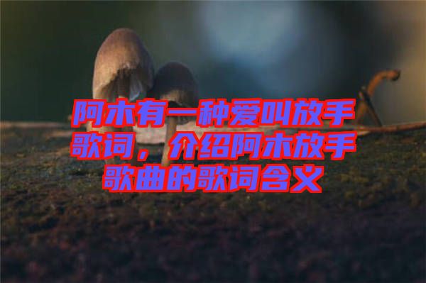 阿木有一種愛叫放手歌詞，介紹阿木放手歌曲的歌詞含義