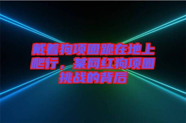 戴著狗項圈跪在地上爬行，某網(wǎng)紅狗項圈挑戰(zhàn)的背后