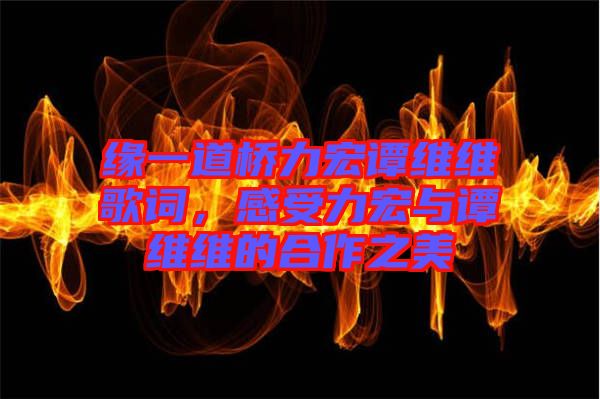 緣一道橋力宏譚維維歌詞，感受力宏與譚維維的合作之美