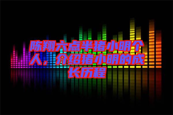 陳翔六點半豬小明個人，介紹豬小明的成長歷程