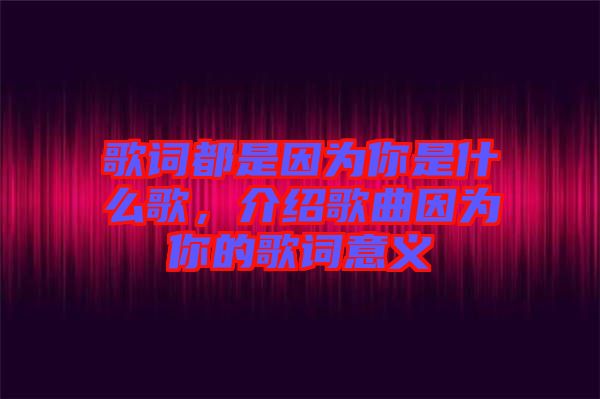 歌詞都是因為你是什么歌，介紹歌曲因為你的歌詞意義