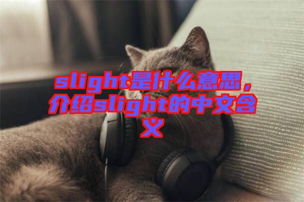 slight是什么意思，介紹slight的中文含義