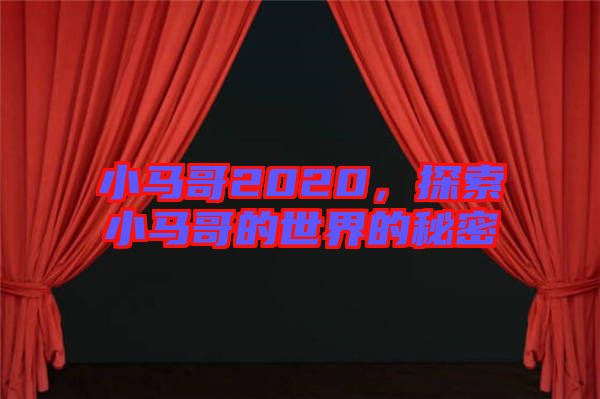 小馬哥2020，探索小馬哥的世界的秘密