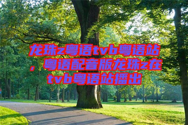 龍珠z粵語(yǔ)tvb粵語(yǔ)站，粵語(yǔ)配音版龍珠z在tvb粵語(yǔ)站播出