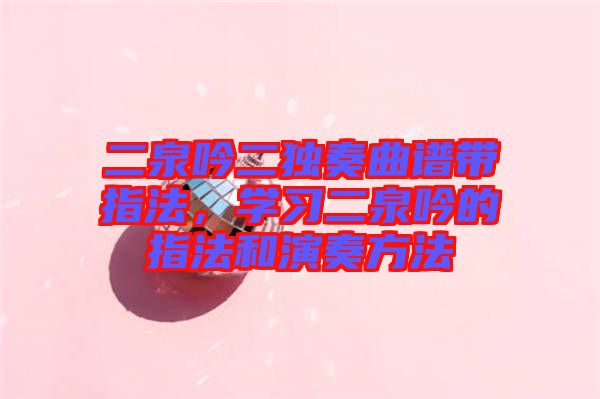 二泉吟二獨(dú)奏曲譜帶指法，學(xué)習(xí)二泉吟的指法和演奏方法