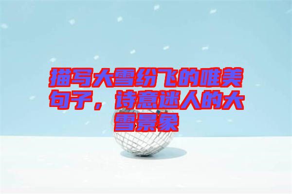 描寫(xiě)大雪紛飛的唯美句子，詩(shī)意迷人的大雪景象