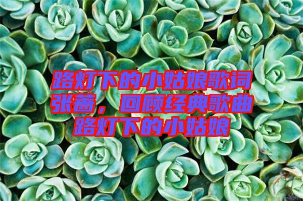 路燈下的小姑娘歌詞張薔，回顧經(jīng)典歌曲路燈下的小姑娘