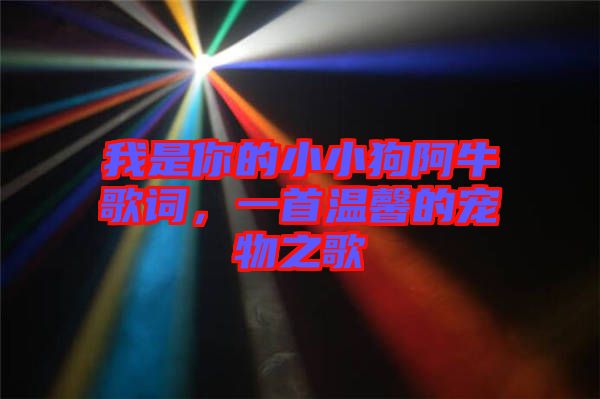 我是你的小小狗阿牛歌詞，一首溫馨的寵物之歌