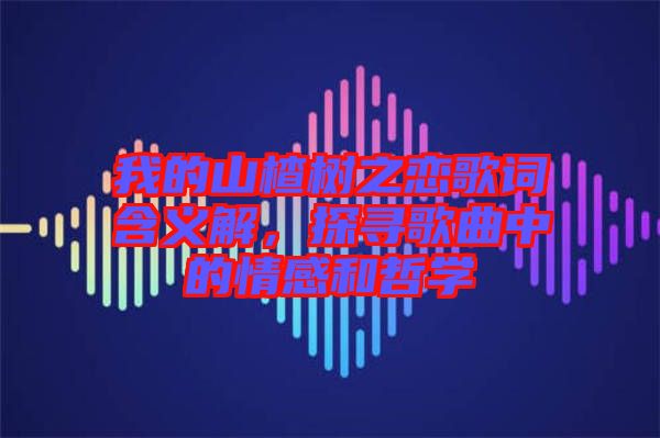 我的山楂樹之戀歌詞含義解，探尋歌曲中的情感和哲學(xué)