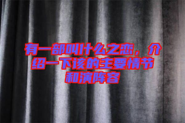 有一部叫什么之戀，介紹一下該的主要情節(jié)和演陣容