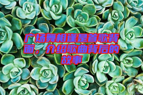 廣場(chǎng)舞相逢是首歌背面，介紹歌曲背后的故事