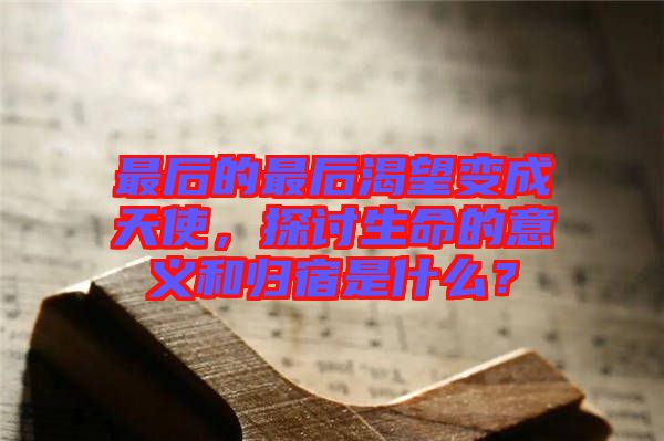 最后的最后渴望變成天使，探討生命的意義和歸宿是什么？