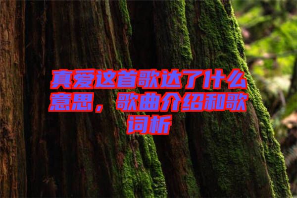 真愛這首歌達了什么意思，歌曲介紹和歌詞析