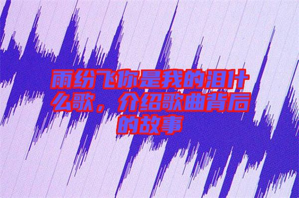 雨紛飛你是我的淚什么歌，介紹歌曲背后的故事