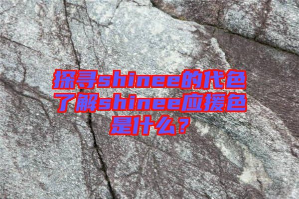 探尋shinee的代色了解shinee應(yīng)援色是什么？