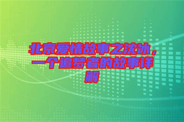 北京愛情故事之沈冰，一個(gè)追夢(mèng)者的故事詳解