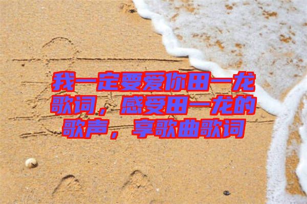 我一定要愛你田一龍歌詞，感受田一龍的歌聲，享歌曲歌詞