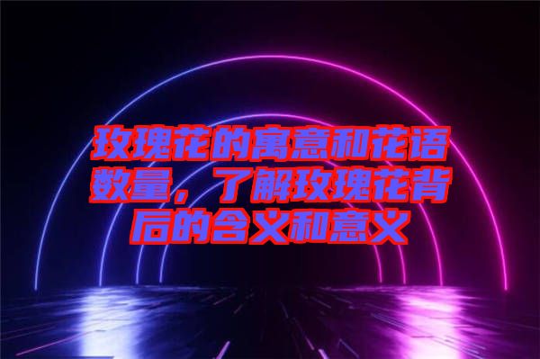 玫瑰花的寓意和花語數(shù)量，了解玫瑰花背后的含義和意義