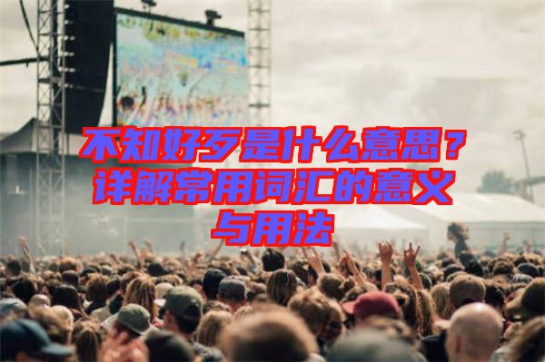 不知好歹是什么意思？詳解常用詞匯的意義與用法