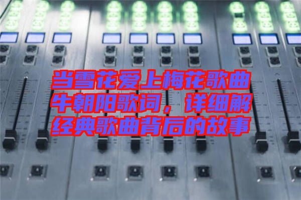 當(dāng)雪花愛上梅花歌曲牛朝陽歌詞，詳細(xì)解經(jīng)典歌曲背后的故事