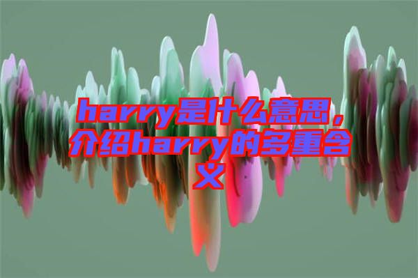 harry是什么意思，介紹harry的多重含義