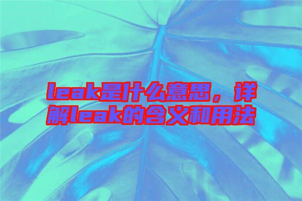 leak是什么意思，詳解leak的含義和用法