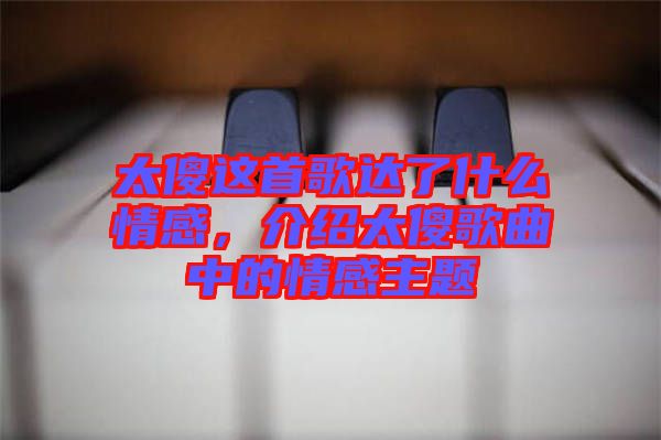 太傻這首歌達(dá)了什么情感，介紹太傻歌曲中的情感主題