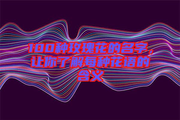 100種玫瑰花的名字，讓你了解每種花語的含義