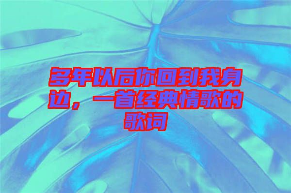 多年以后你回到我身邊，一首經(jīng)典情歌的歌詞