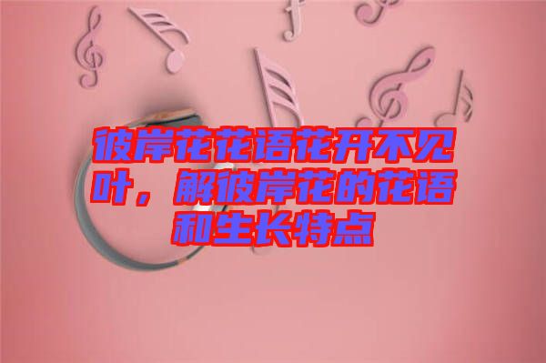 彼岸花花語(yǔ)花開不見葉，解彼岸花的花語(yǔ)和生長(zhǎng)特點(diǎn)