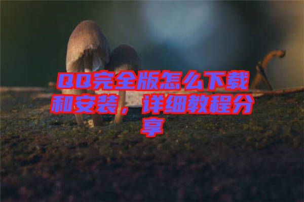 QQ完全版怎么下載和安裝，詳細(xì)教程分享