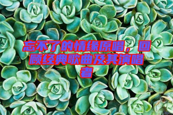 忘不了的情緣原唱，回顧經(jīng)典歌曲及其演唱者