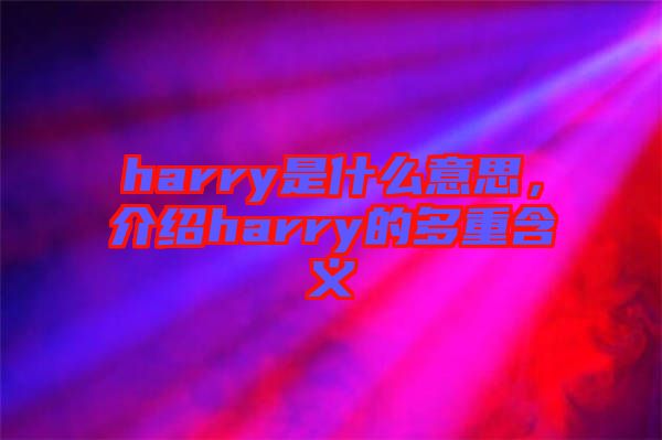 harry是什么意思，介紹harry的多重含義