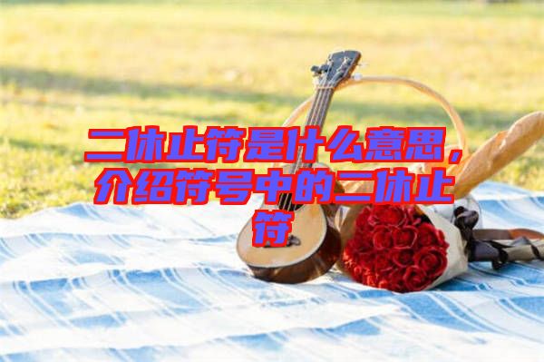 二休止符是什么意思，介紹符號中的二休止符