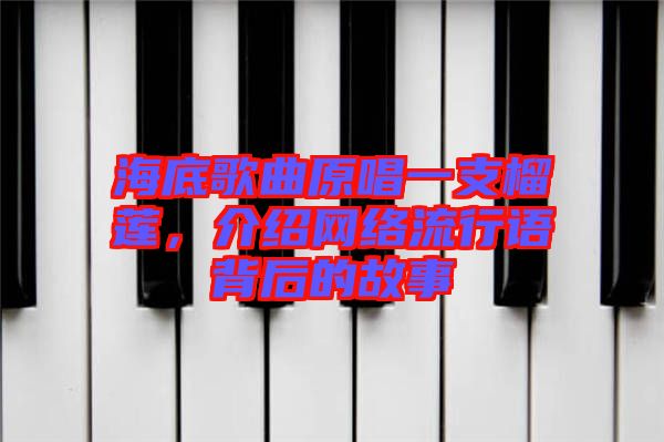 海底歌曲原唱一支榴蓮，介紹網(wǎng)絡(luò)流行語背后的故事