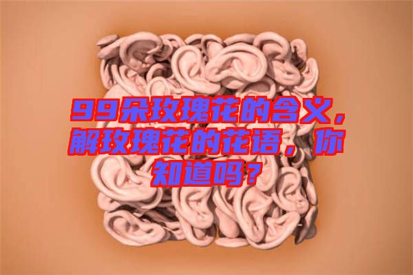 99朵玫瑰花的含義，解玫瑰花的花語(yǔ)，你知道嗎？