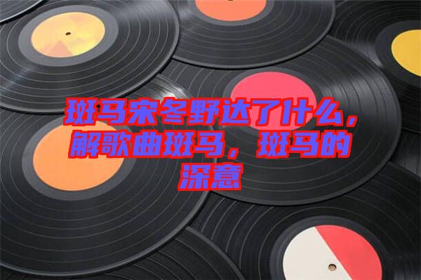 斑馬宋冬野達(dá)了什么，解歌曲斑馬，斑馬的深意