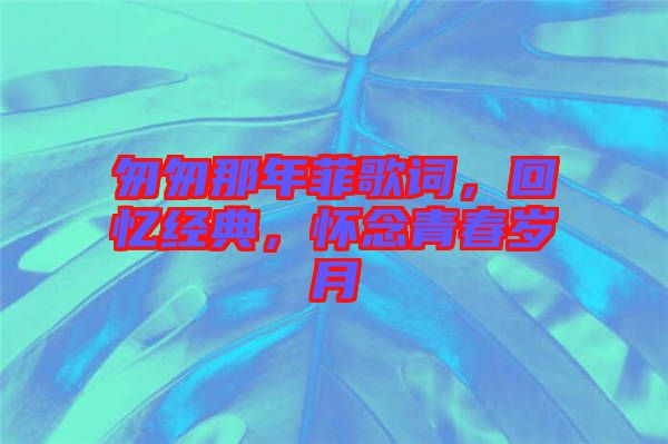 匆匆那年菲歌詞，回憶經(jīng)典，懷念青春歲月