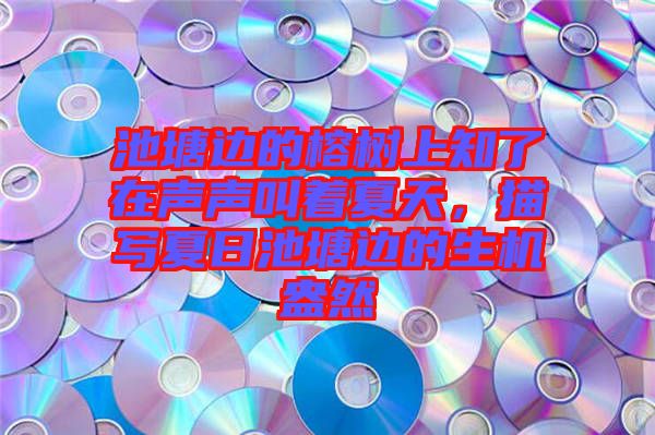 池塘邊的榕樹上知了在聲聲叫著夏天，描寫夏日池塘邊的生機(jī)盎然