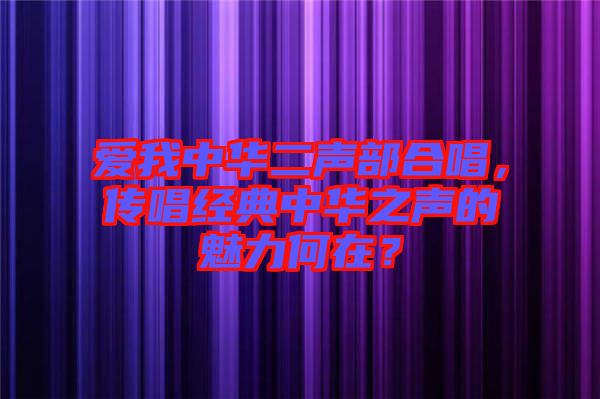 愛我中華二聲部合唱，傳唱經(jīng)典中華之聲的魅力何在？