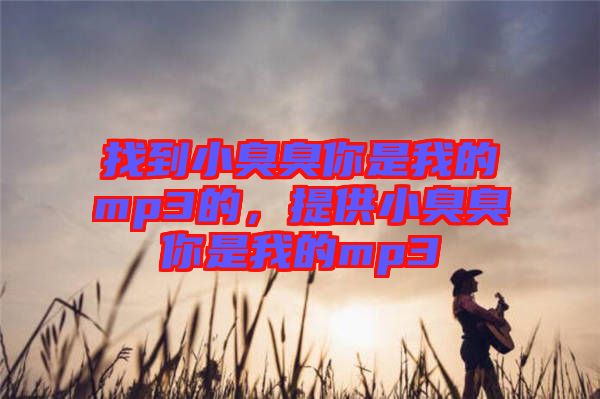 找到小臭臭你是我的mp3的，提供小臭臭你是我的mp3