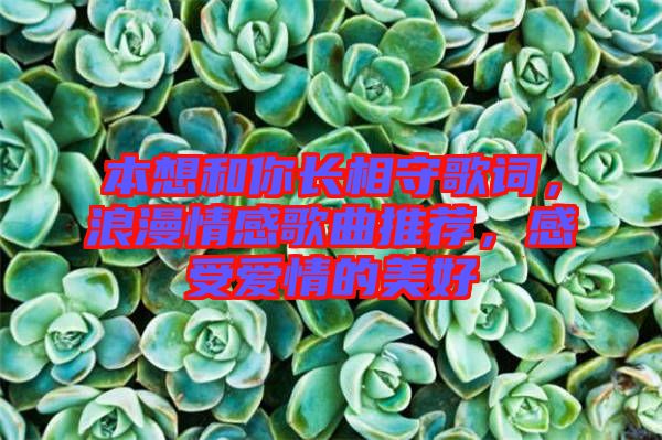 本想和你長相守歌詞，浪漫情感歌曲推薦，感受愛情的美好