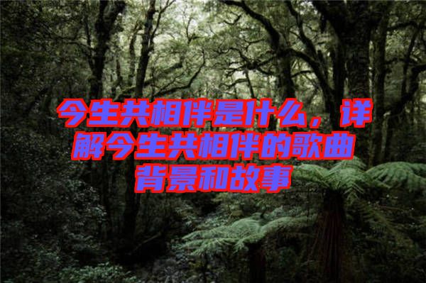 今生共相伴是什么，詳解今生共相伴的歌曲背景和故事