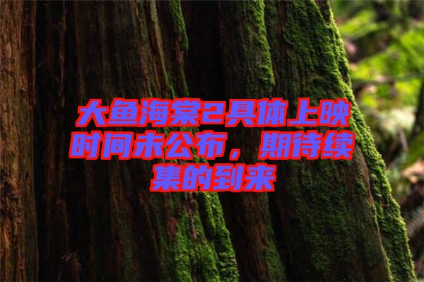 大魚海棠2具體上映時(shí)間未公布，期待續(xù)集的到來(lái)