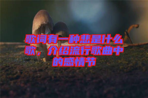 歌詞有一種悲是什么歌，介紹流行歌曲中的感情節(jié)