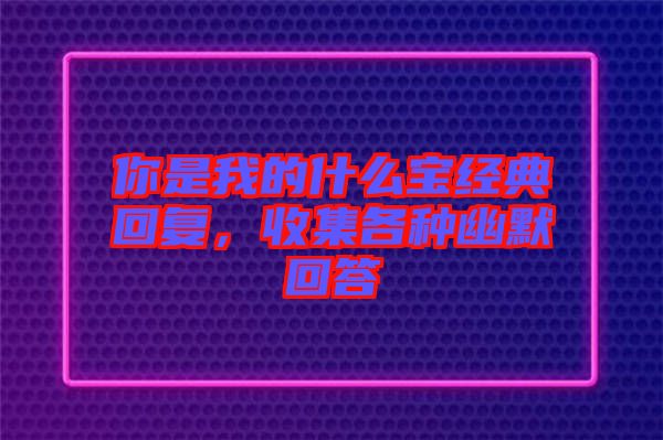 你是我的什么寶經(jīng)典回復，收集各種幽默回答