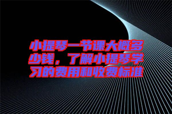 小提琴一節(jié)課大概多少錢，了解小提琴學(xué)習(xí)的費用和收費標(biāo)準(zhǔn)